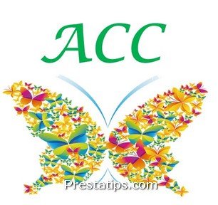 ACC Accesorios y Decoración