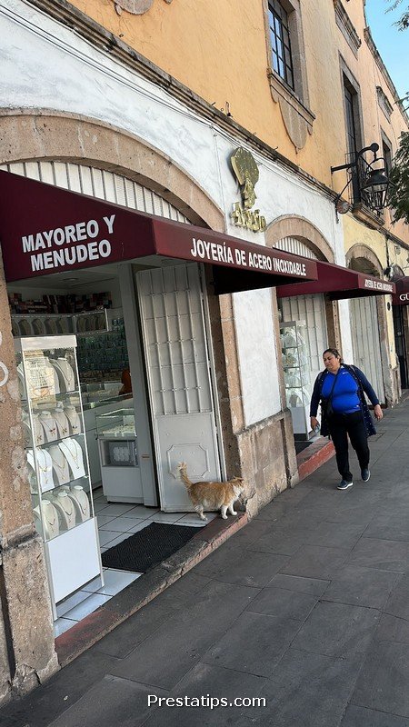 Axxio – Joyería de Acero Inoxidable