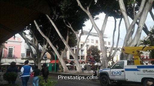 CENTRO JOYERO PUEBLA JOYAS FREDY