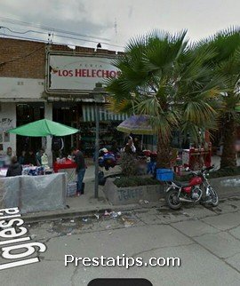 Galeria Los Helechos