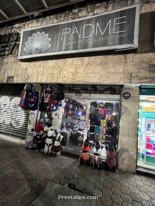 PADME Joyería De Acero