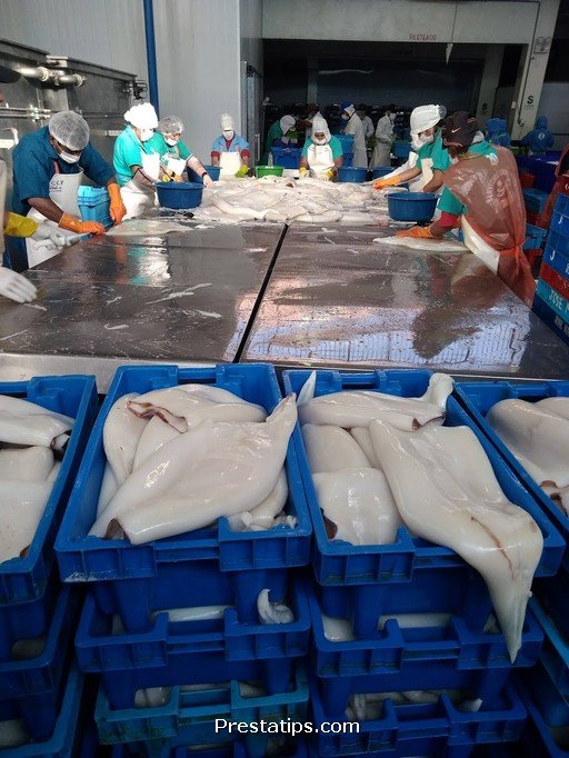 Perla Del Pacifico Srl